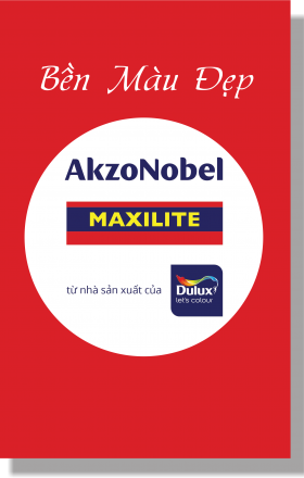 SƠN MAXILITE