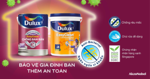 dulux\